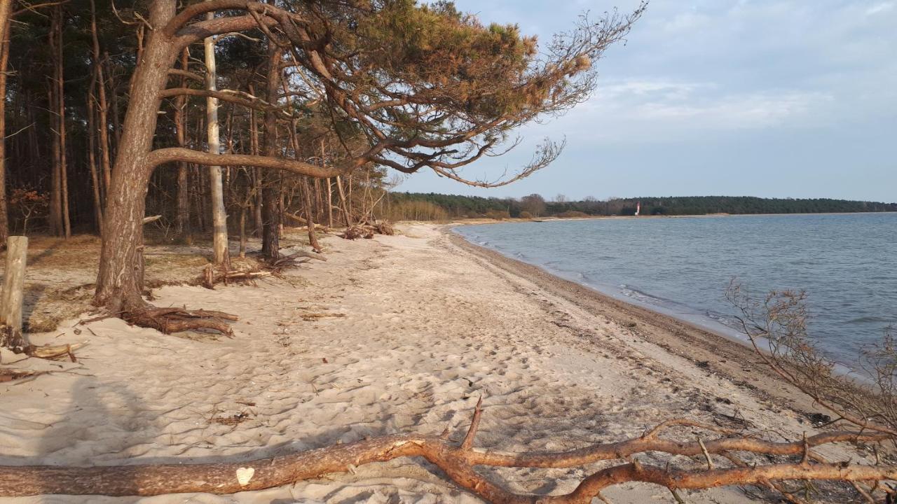 Villa Strandraeuber Zudar ภายนอก รูปภาพ